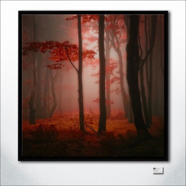 Lost Red Story
