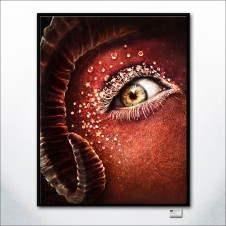 Aries Eye