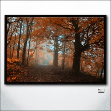 Forgotten Trail Of Contemplation